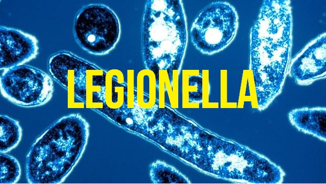 A Landlords Guide to… Legionella Removal | The House Shop Blog