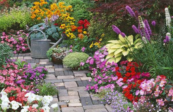 7 Ways to Make Your Garden Look Beautiful | The House Shop Blog