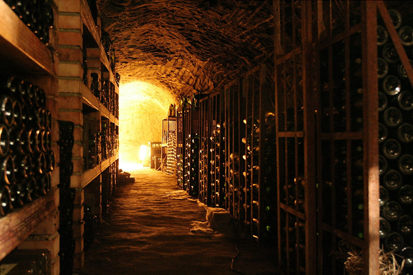 Best Practices for Creating a Wine Cellar | The House Shop Blog