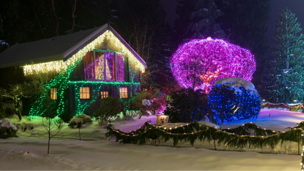 A house and trees with Christmas lights